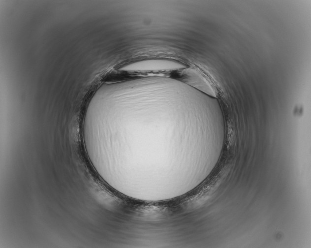 X0000096710453200802261633