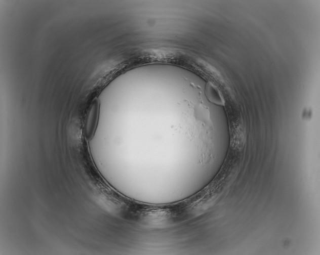 X0000096710456200802261633