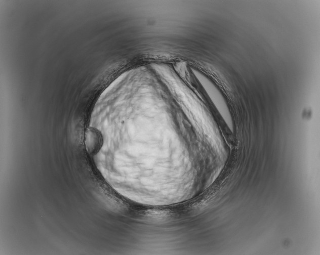 X0000096710457200802261633