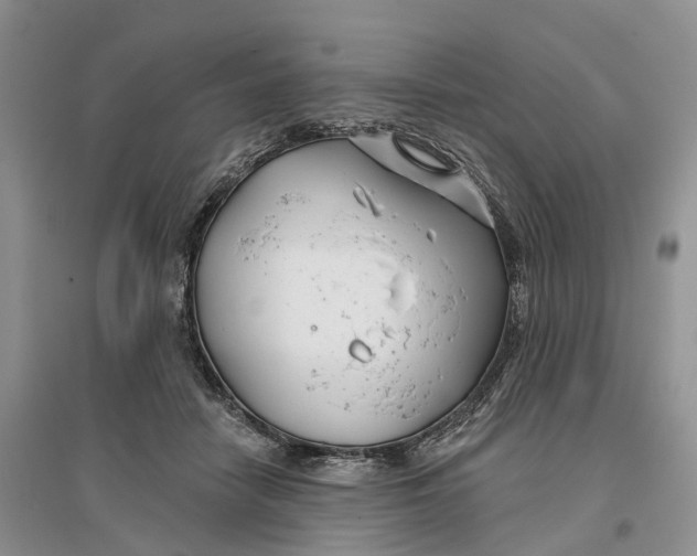 X0000096710458200802261633