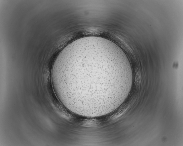 X0000096710459200802261633