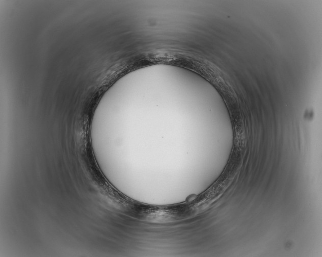 X0000096710460200802261633