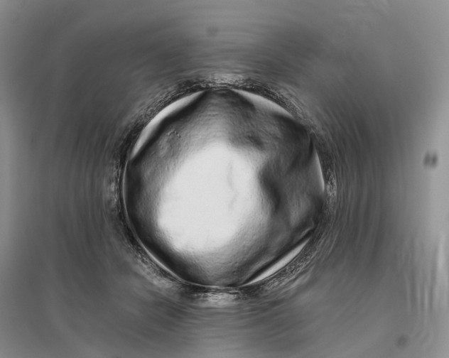 X0000096710462200802261633