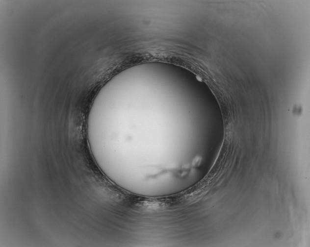 X0000096710464200802261633