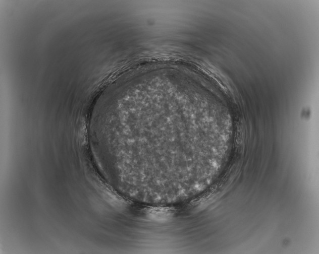 X0000096710465200802261633