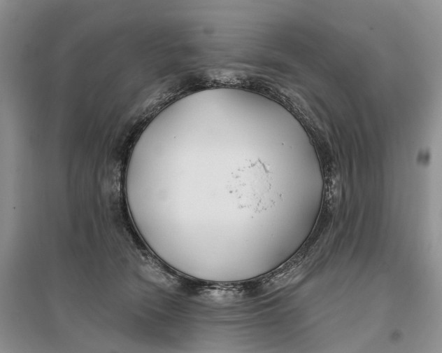 X0000096710466200802261633