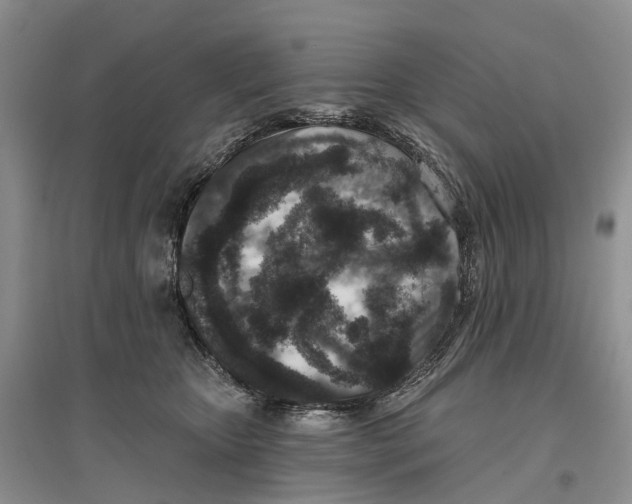 X0000096710467200802261633