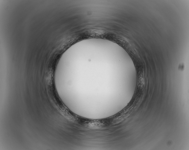 X0000096710468200802261633