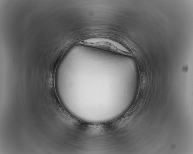 X0000096710469200802261633