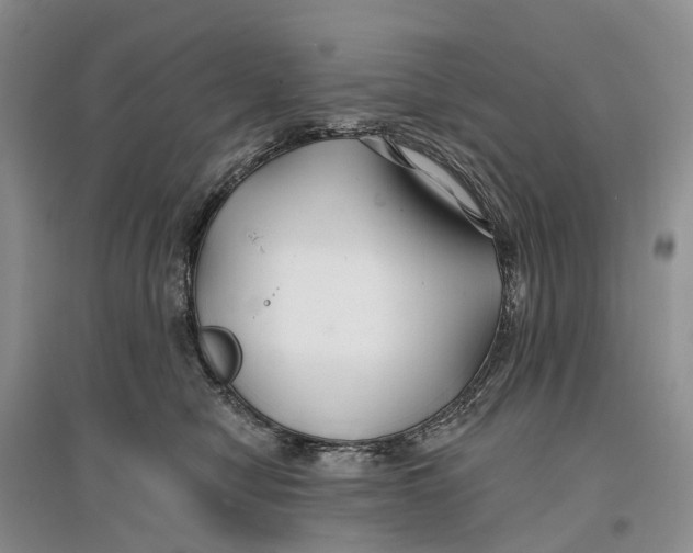 X0000096710470200802261633