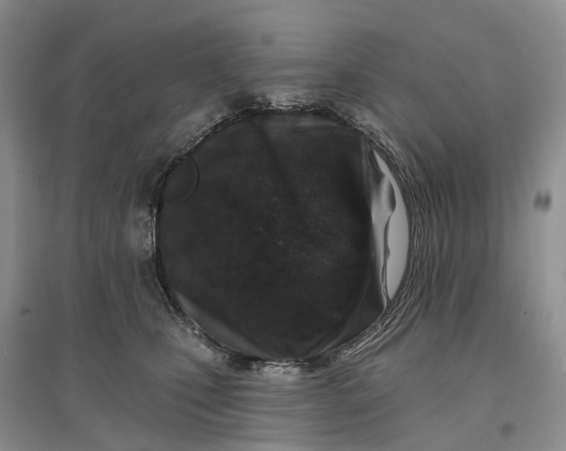 X0000096710471200802261633