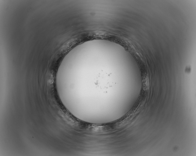 X0000096710472200802261633