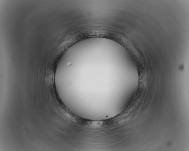 X0000096710474200802261633