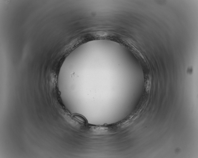 X0000096710476200802261633