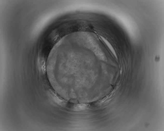 X0000096710479200802261633