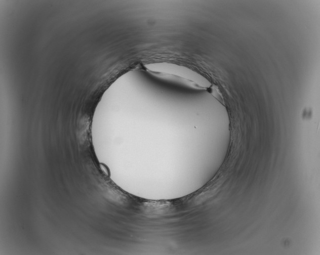 X0000096710480200802261633