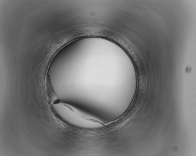 X0000096710481200802261633