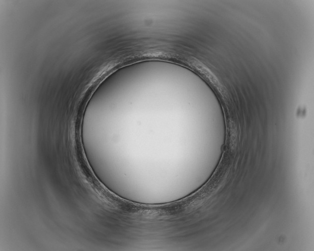 X0000096710482200802261633