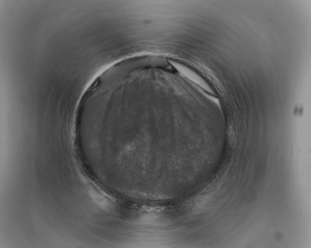 X0000096710484200802261633