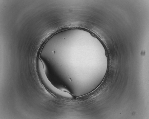 X0000096710485200802261633