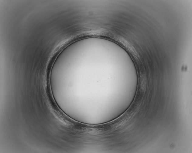 X0000096710486200802261633