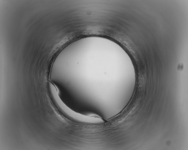 X0000096710489200802261633