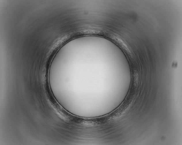 X0000096710490200802261633