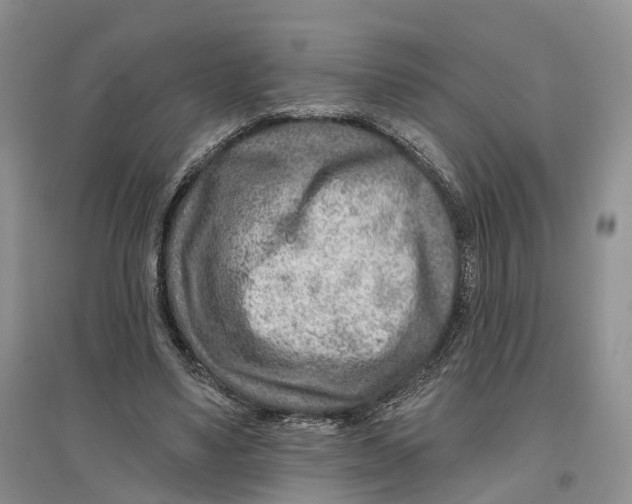 X0000096710491200802261633