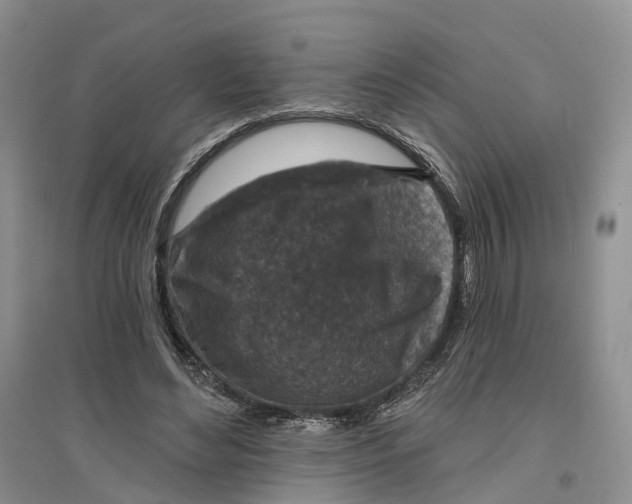 X0000096710492200802261633