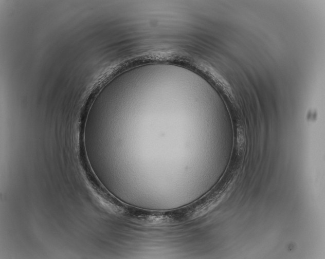 X0000096710493200802261632