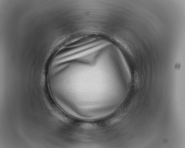 X0000096710494200802261632