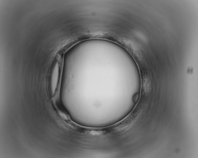 X0000096710495200802261632