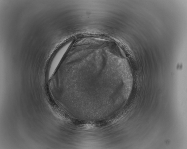 X0000096710496200802261632