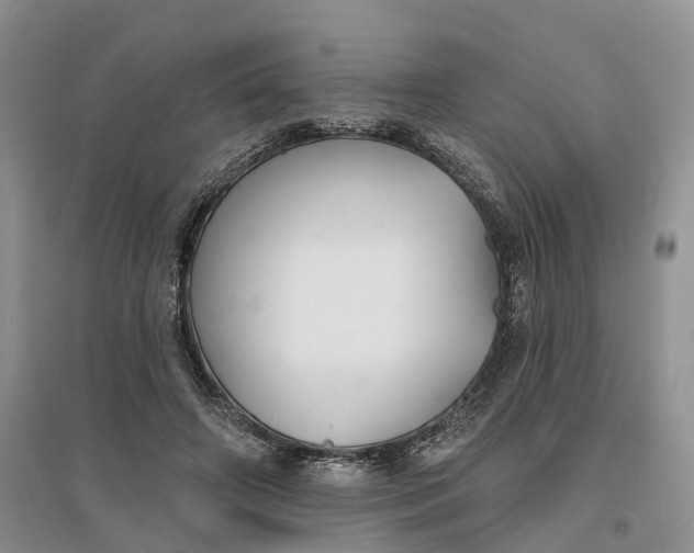 X0000096710498200802261632