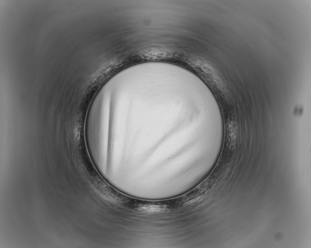 X0000096710499200802261632