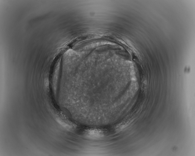 X0000096710500200802261632