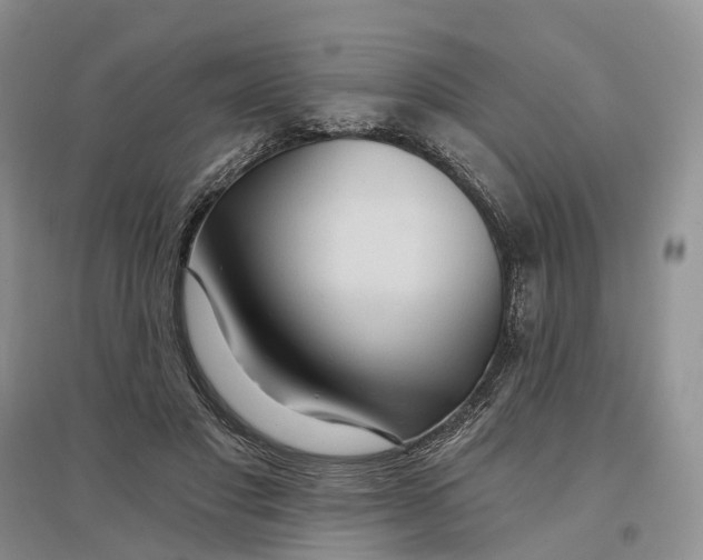 X0000096710501200802261632