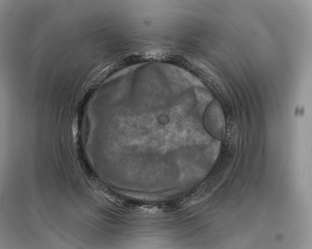 X0000096710502200802261632