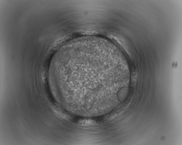 X0000096710503200802261632