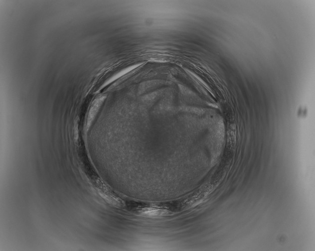 X0000096710504200802261632