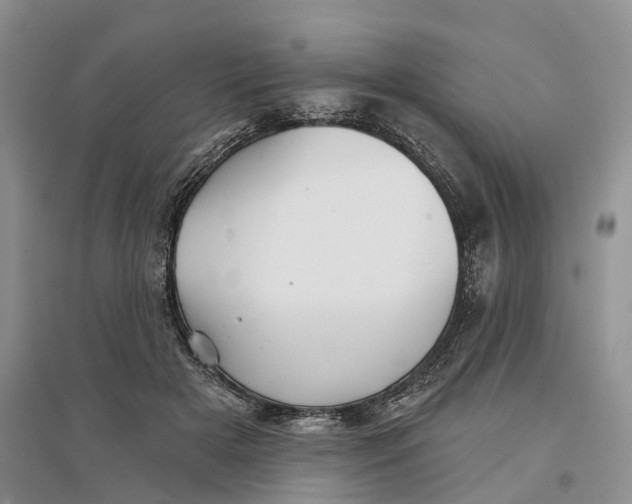 X0000096710505200802261632