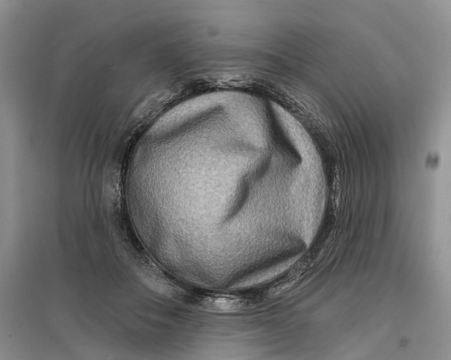 X0000096710506200802261632