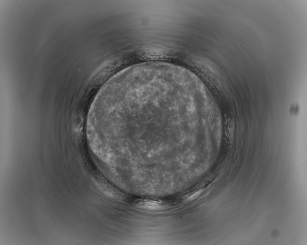 X0000096710507200802261632