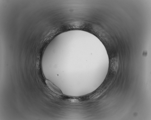 X0000096710509200802261632