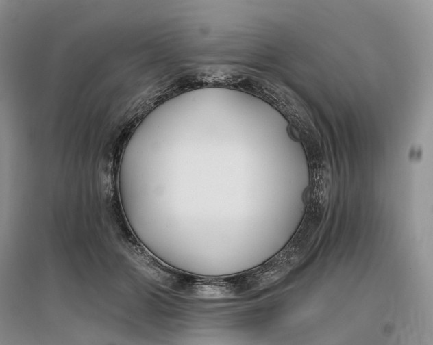 X0000096710510200802261632