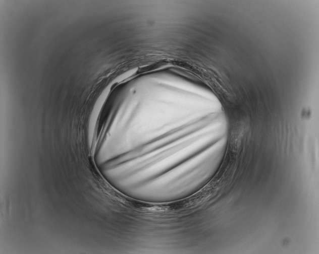 X0000096710511200802261632