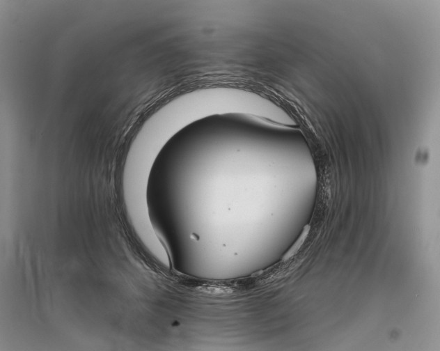 X0000096710512200802261632