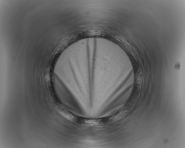 X0000096710516200802261632