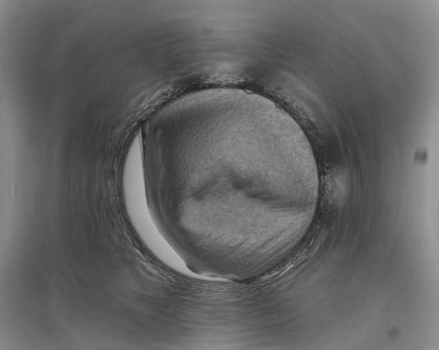 X0000096710517200802261632