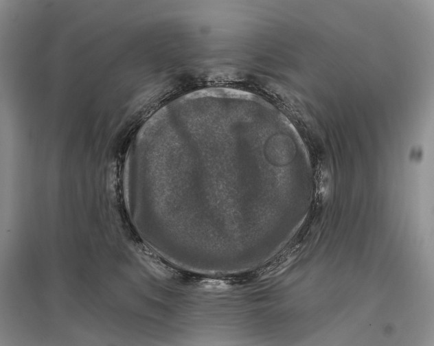 X0000096710519200802261632